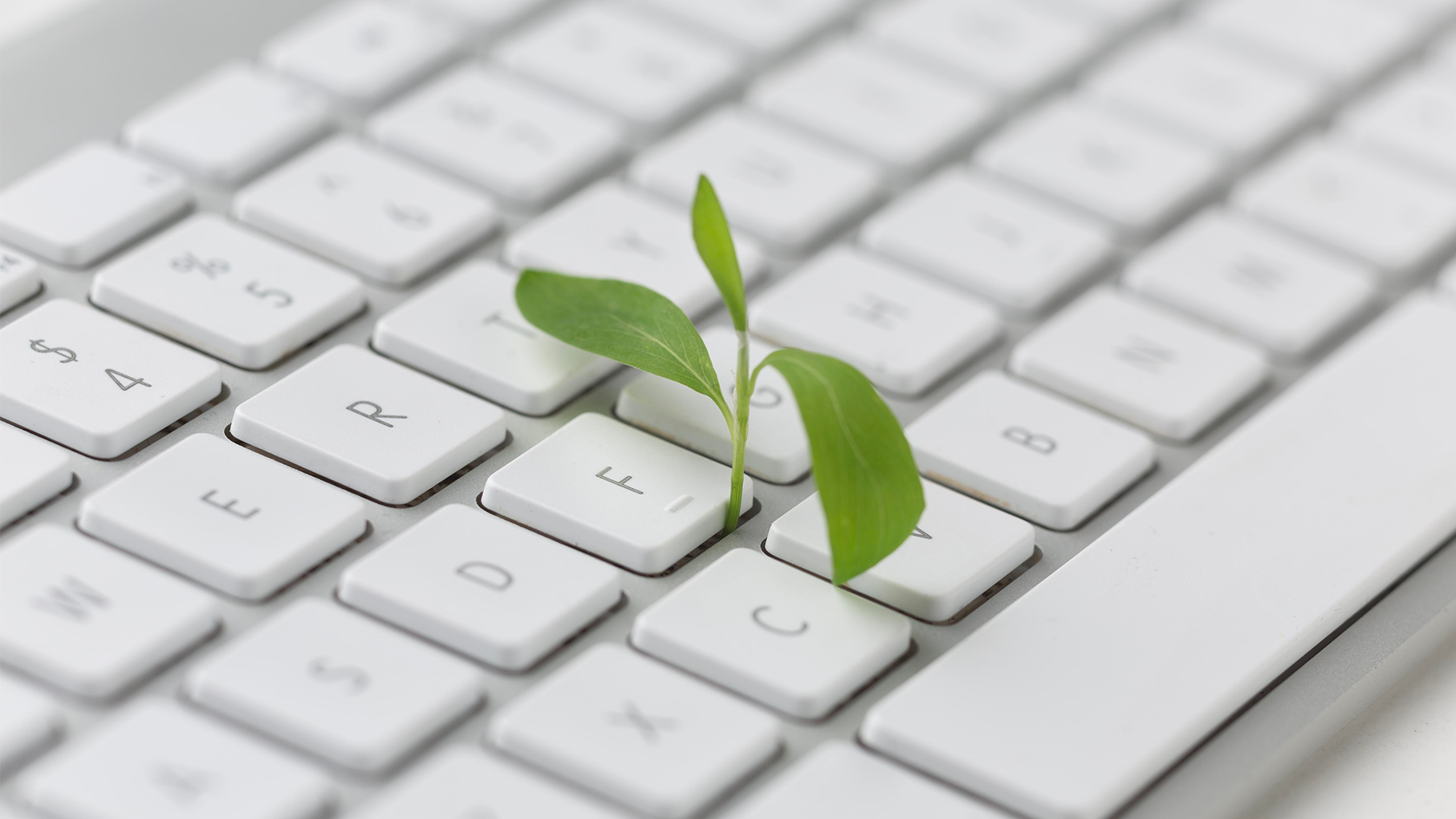 Position Paper: cinco desafíos para una inteligencia artificial más respetuosa con el medio ambiente (main)