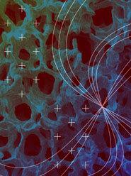 BIO-SEL: BIlevel Optimization in Security, Energy and Logistics